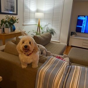 Meet your Posher, Hannah